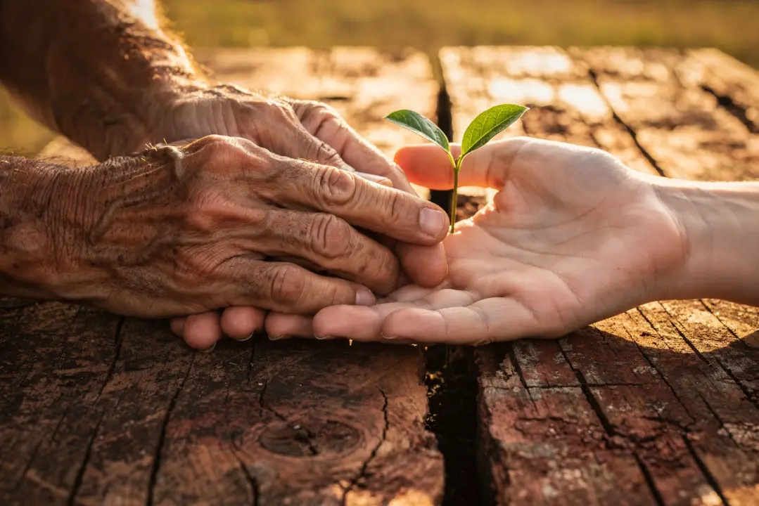 A herança do afeto e o elo entre gerações